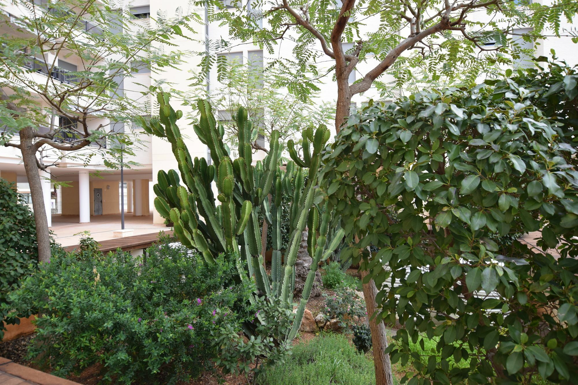 Plaza Mayor 2 Bedroom Apartment Calp Dış mekan fotoğraf